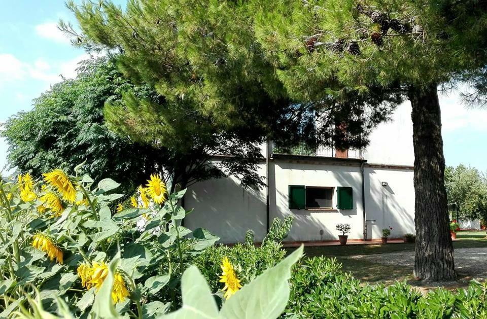 Silos Torrenova 포텐차 피체나 외부 사진